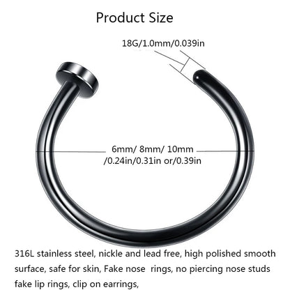 2/6Pcs Fake Nose Rings for Women, 316L Stainless Steel Lip Rings
