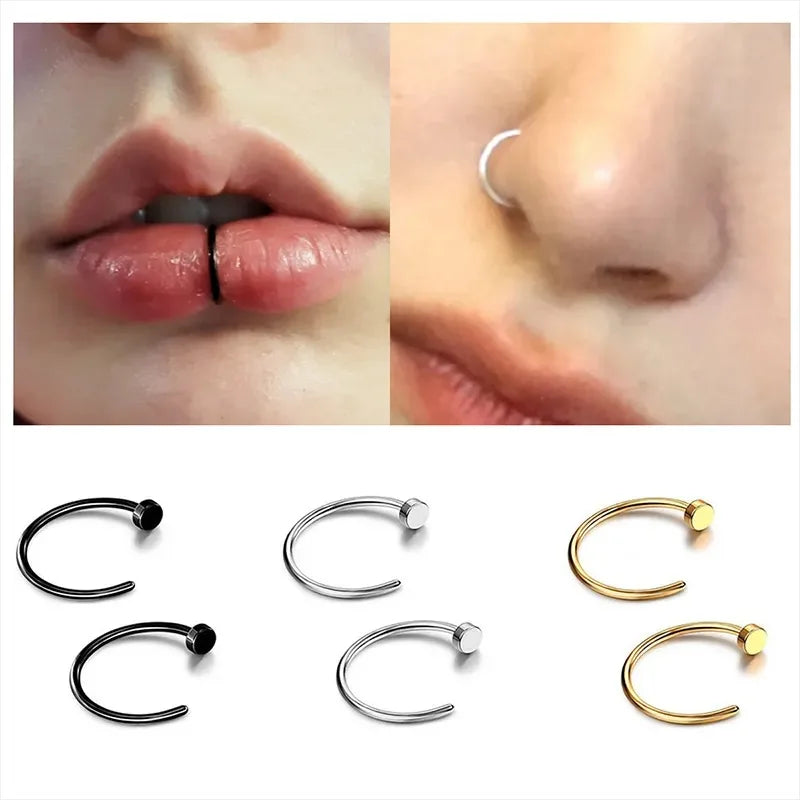 2/6Pcs Fake Nose Rings for Women, 316L Stainless Steel Lip Rings