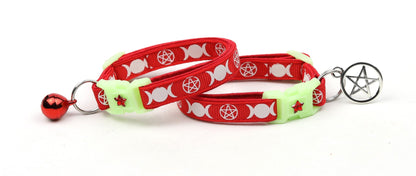Witch's Familiar on Red Cat Collar-2